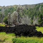 Etna: Vita e morte sul vulcano