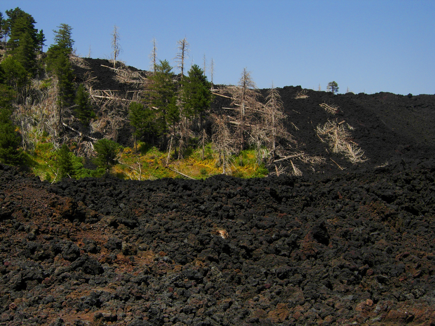 Etna: vita e morte sul vulcano