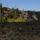 Etna: vita e morte sul vulcano