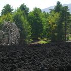 Etna: vita e morte sul vulcano 4