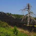 Etna: Vita e morte sul vulcano