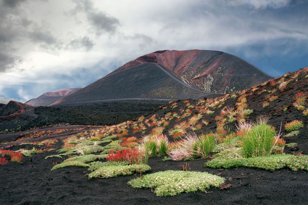 Etna Volcano