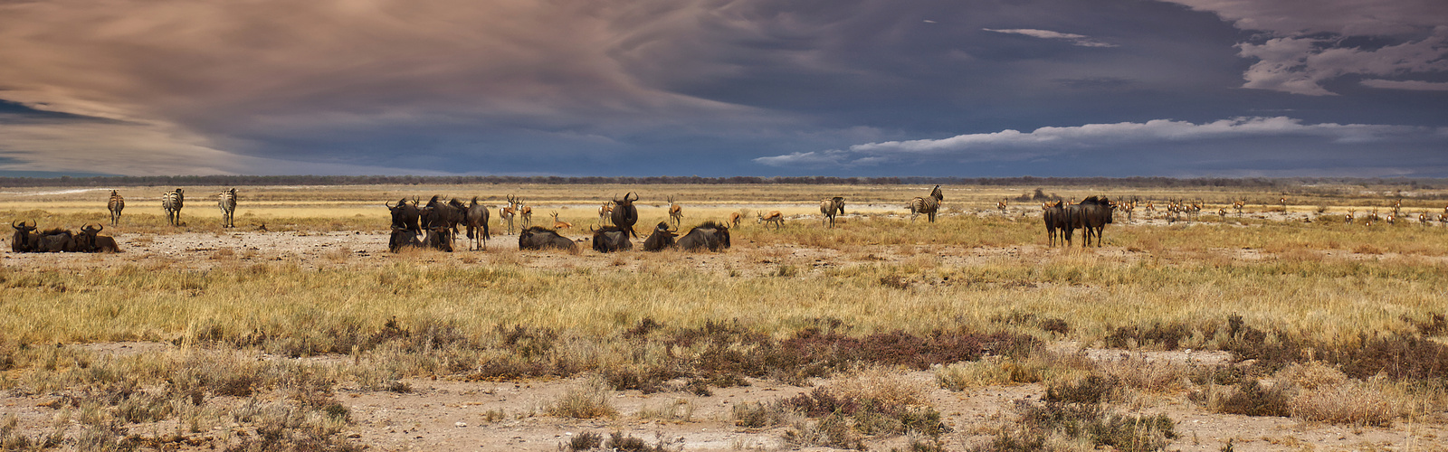 Etosha-2