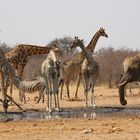 Etosha-2