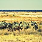 Etosha