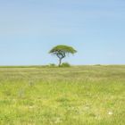 Etosha