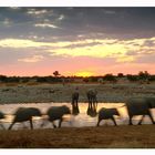 -Etosha-