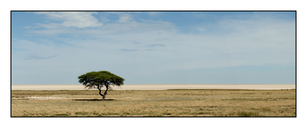 Etosha