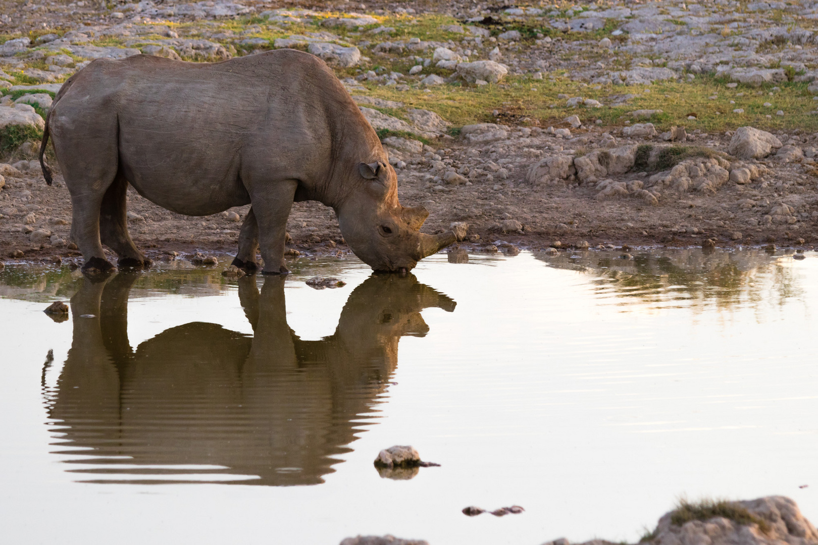 Etosha-3