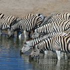 Etosha