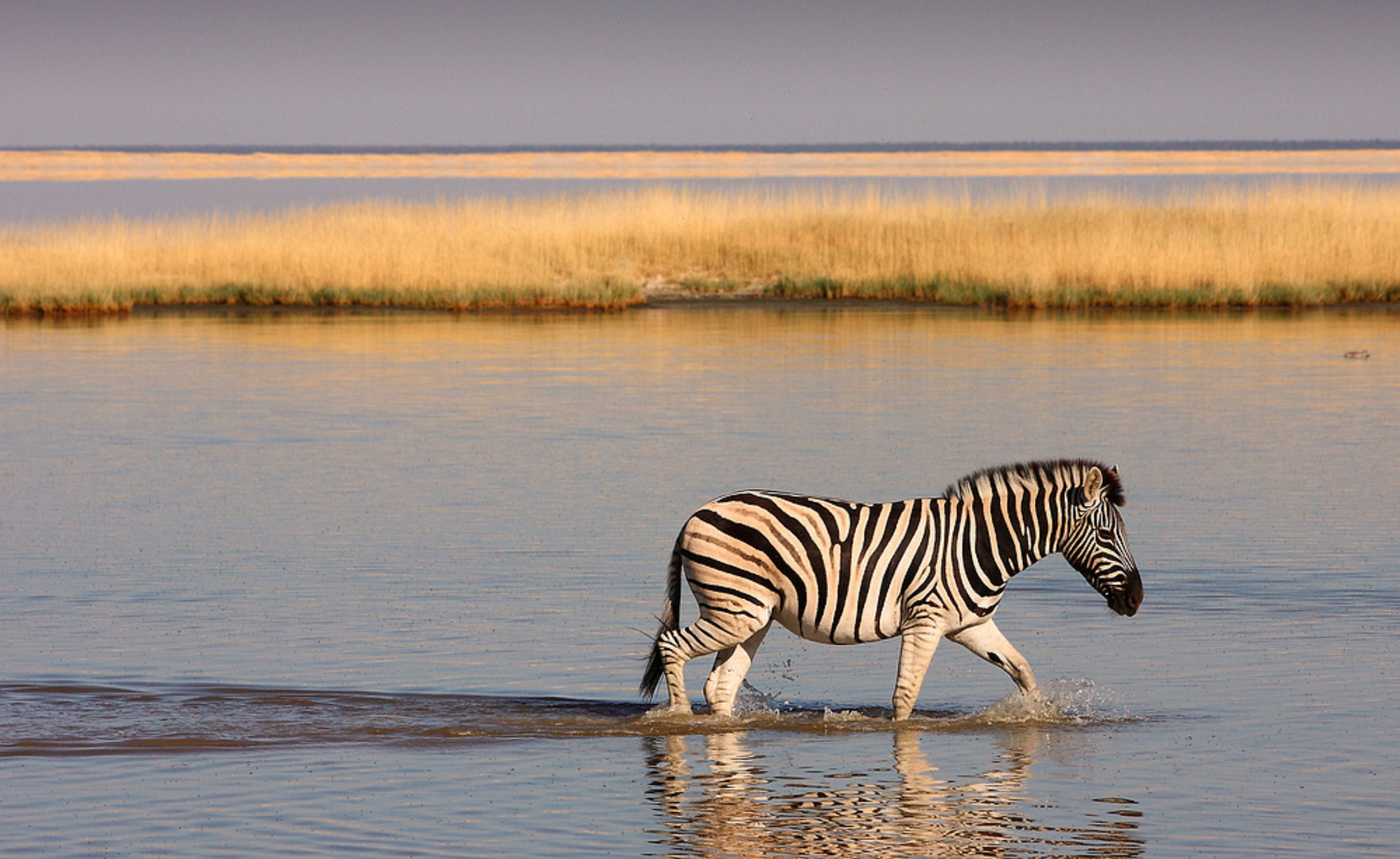 Etosha