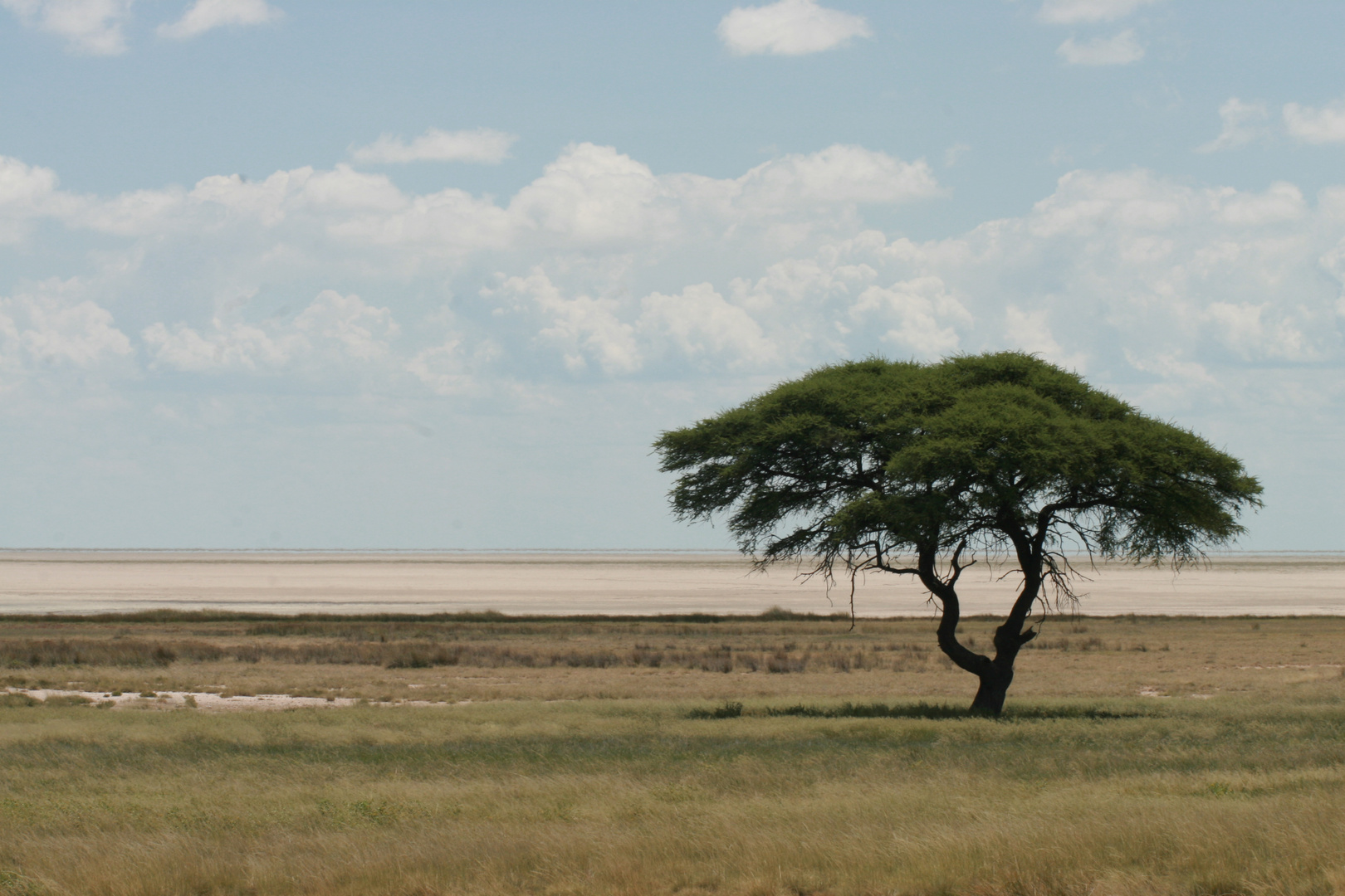 Etosha