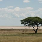 Etosha