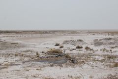 Etosha