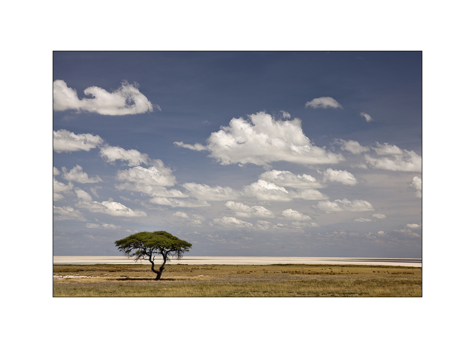 Etosha