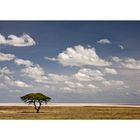 Etosha