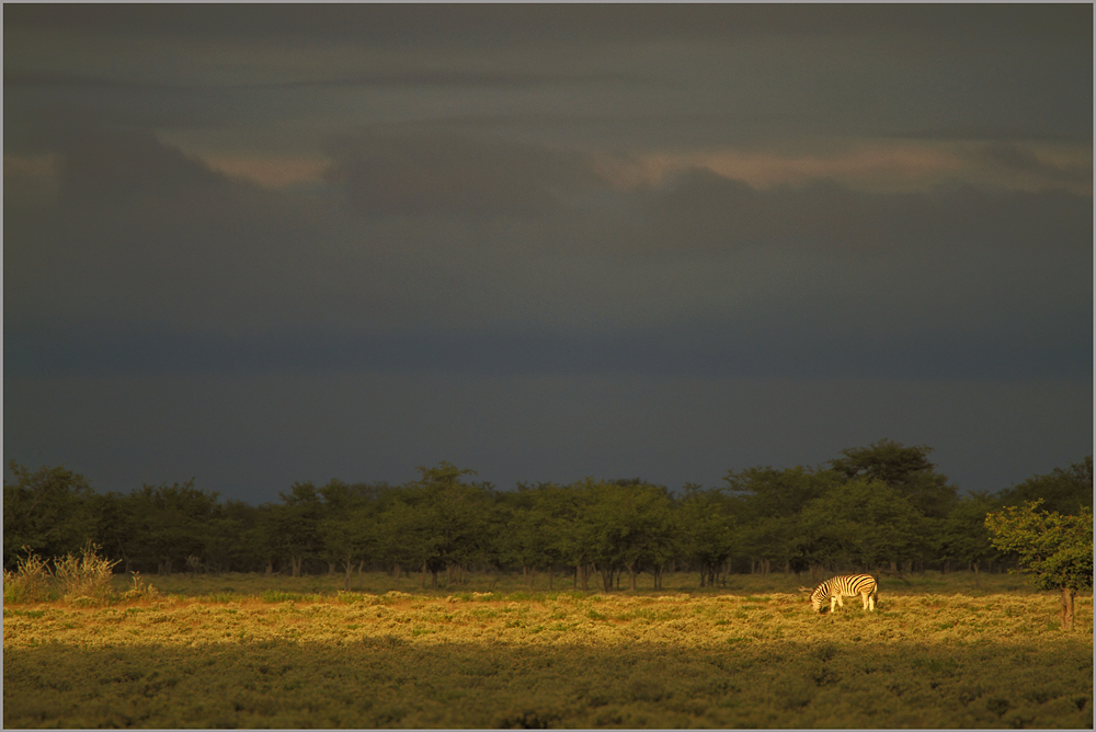 Etosha - 6:00 Uhr