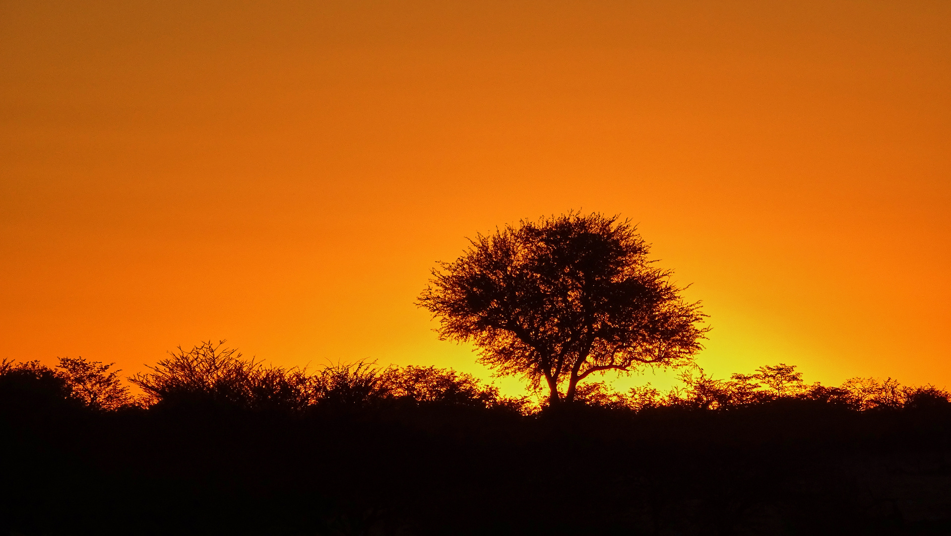 Etosha