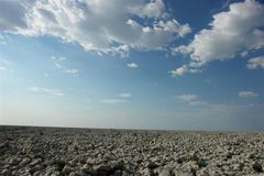 Etosha