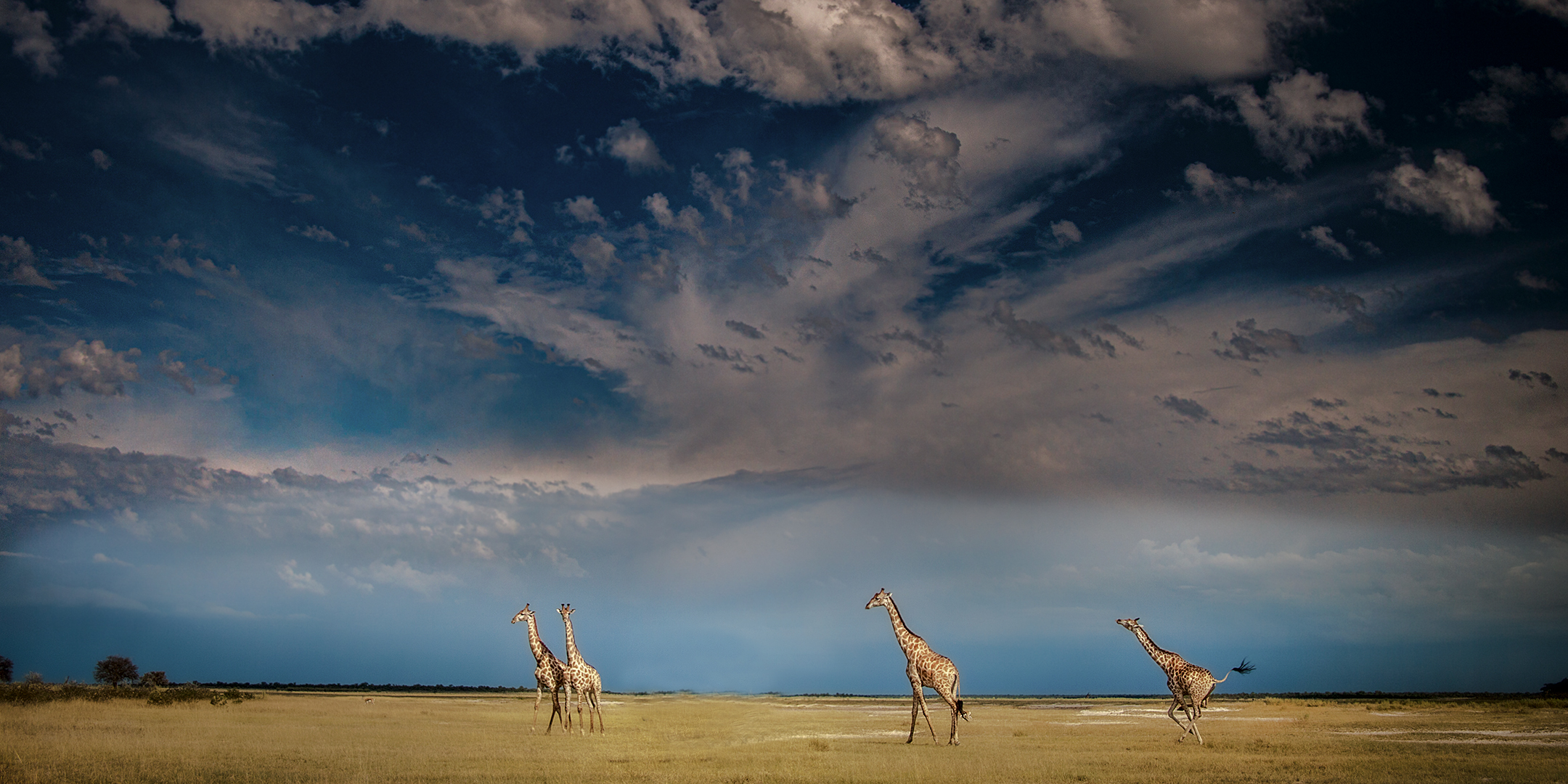 Etosha