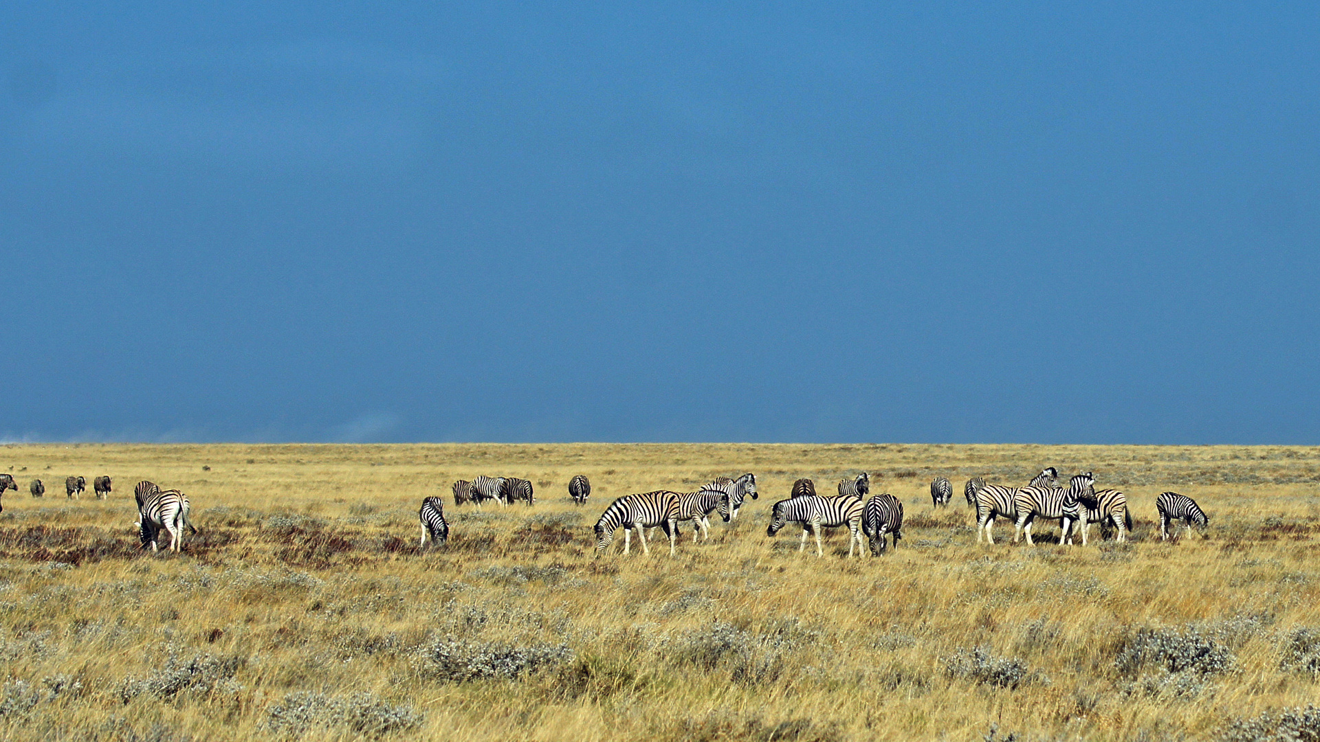 Etosha