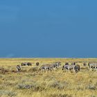 Etosha