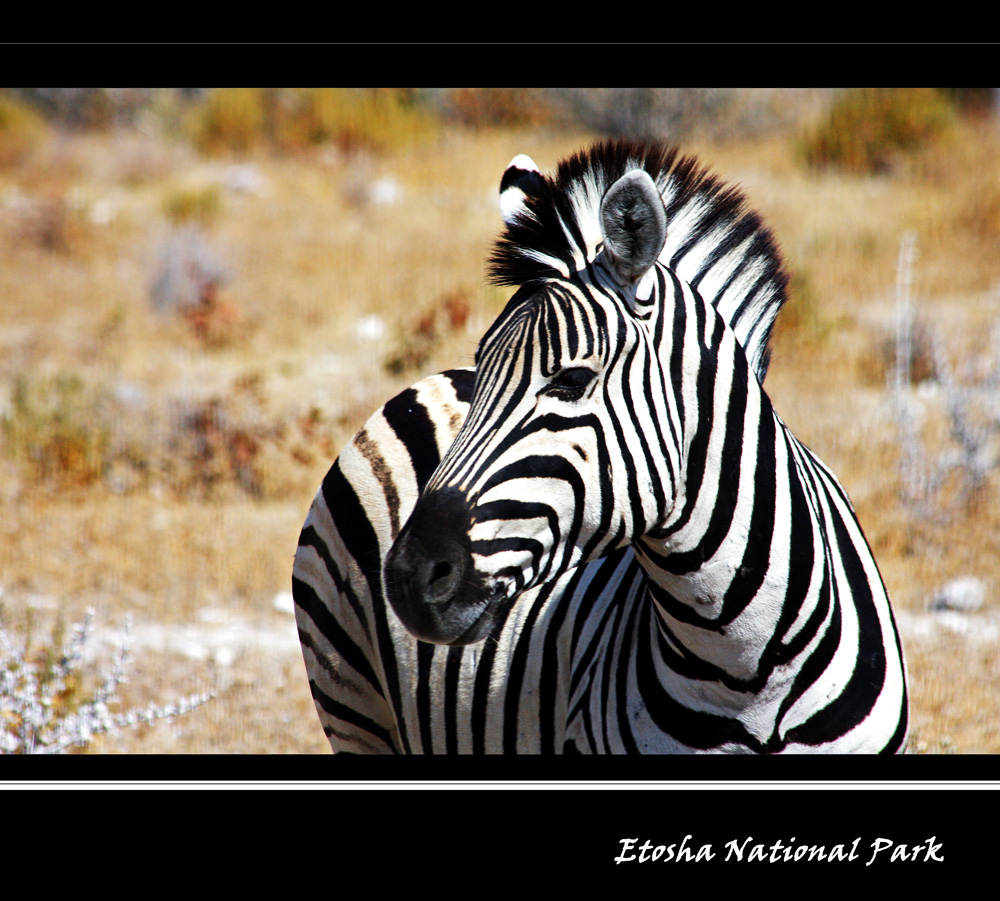 Etosha