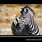 Etosha