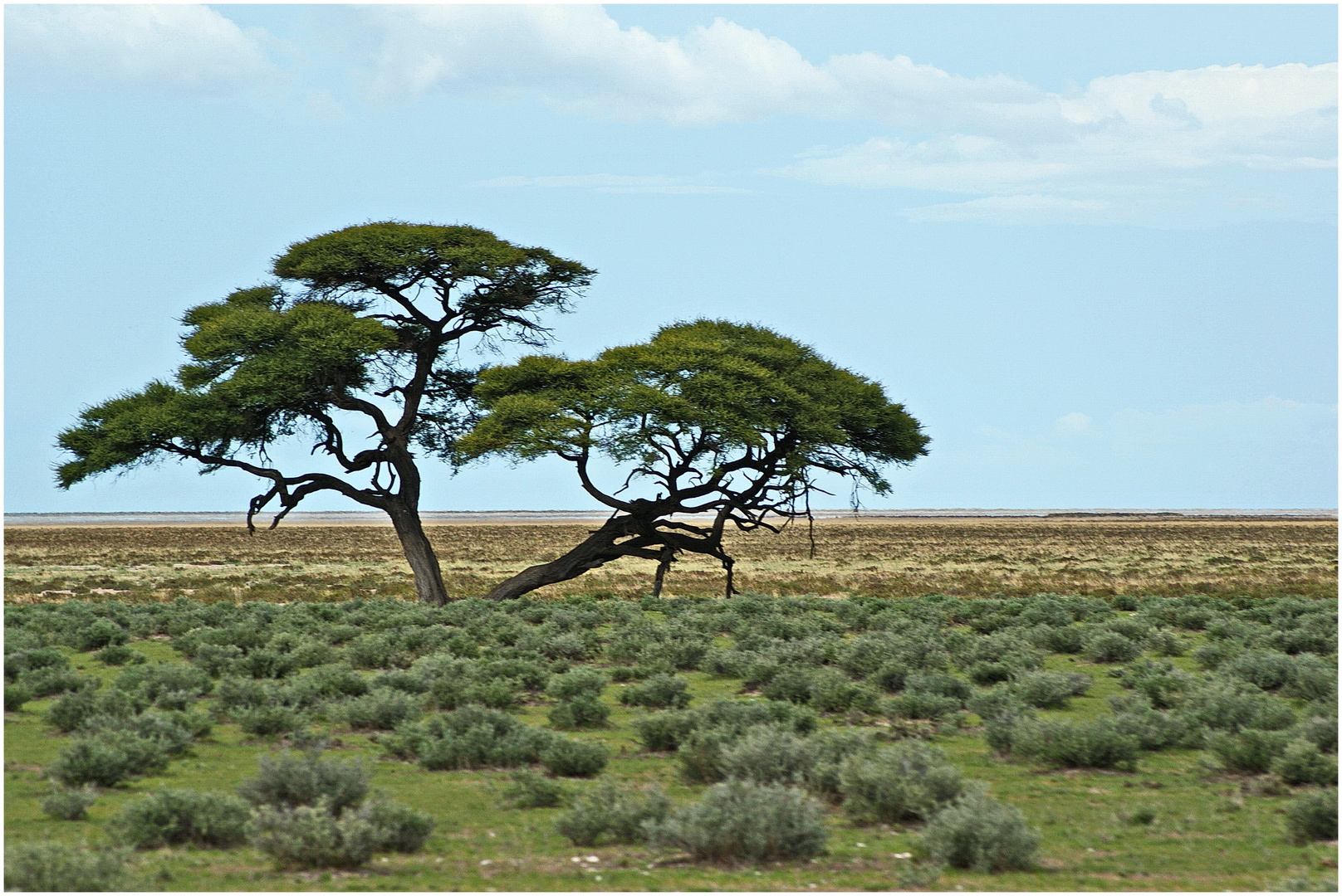 Etosha