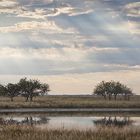 Etosha am Morgen