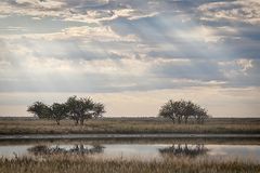 Etosha am Morgen