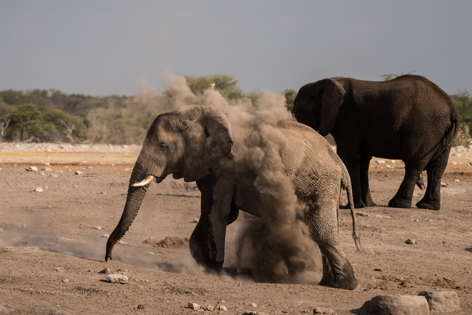 Etosha Beauty Treatment