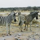 Etosha