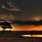 Etosha