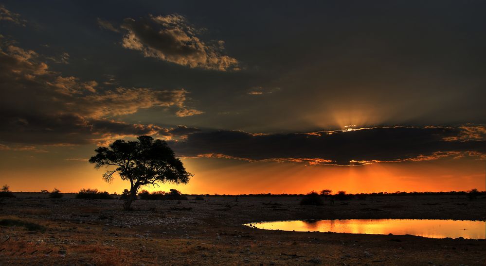 Etosha