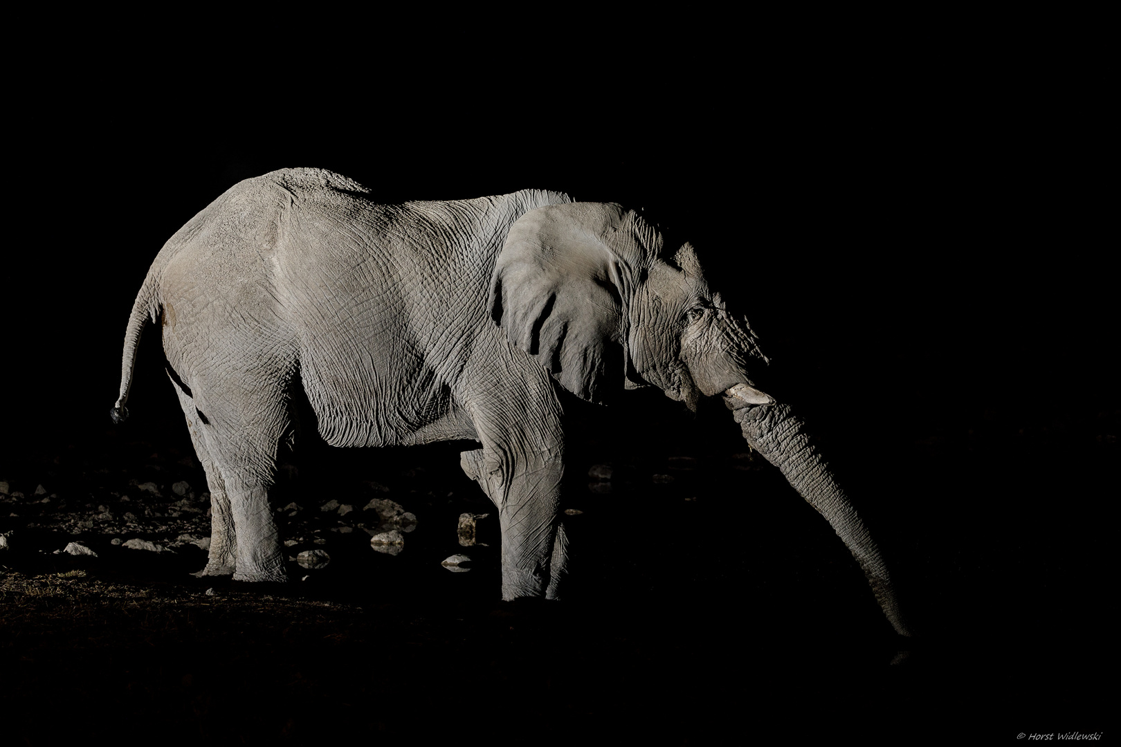 Etosha - der große Durst