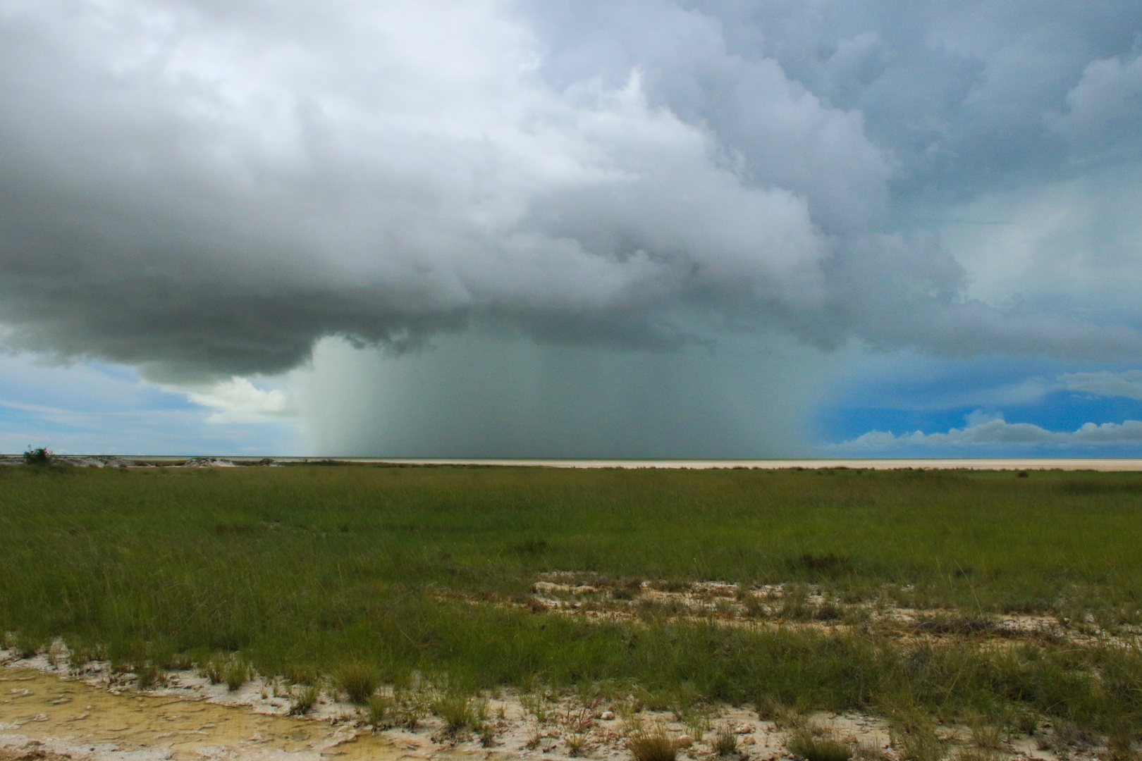 Etosha - der Regen kommt