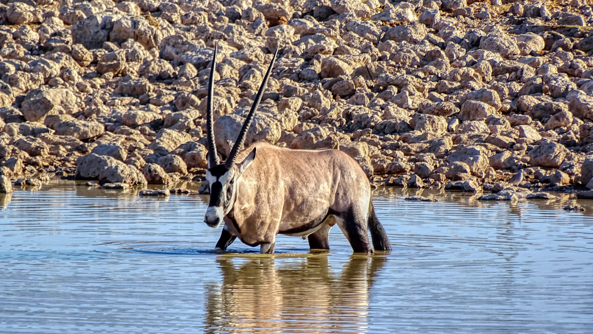 Etosha