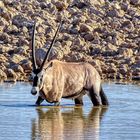 Etosha