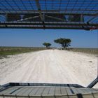 Etosha