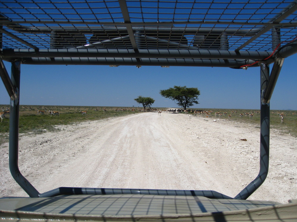 Etosha