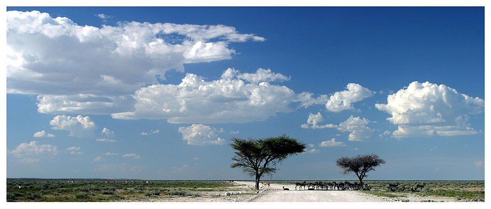 Etosha