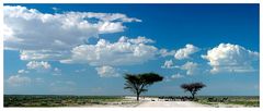 Etosha