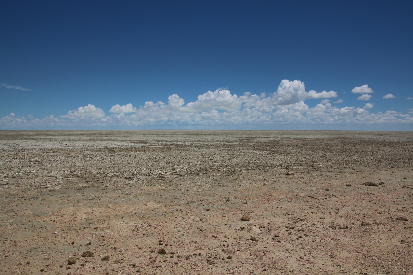 Etosha Namibia