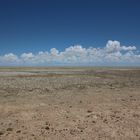 Etosha Namibia