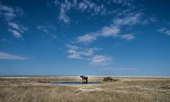 Etosha National Park