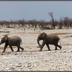 Etosha National Park - Elefantenparade