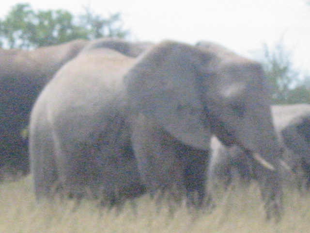 Etosha National Park Namibia!!!