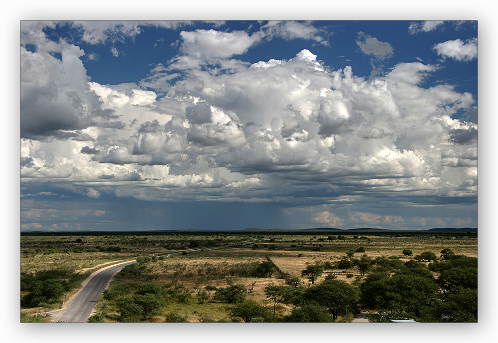 Etosha-Nationalpark