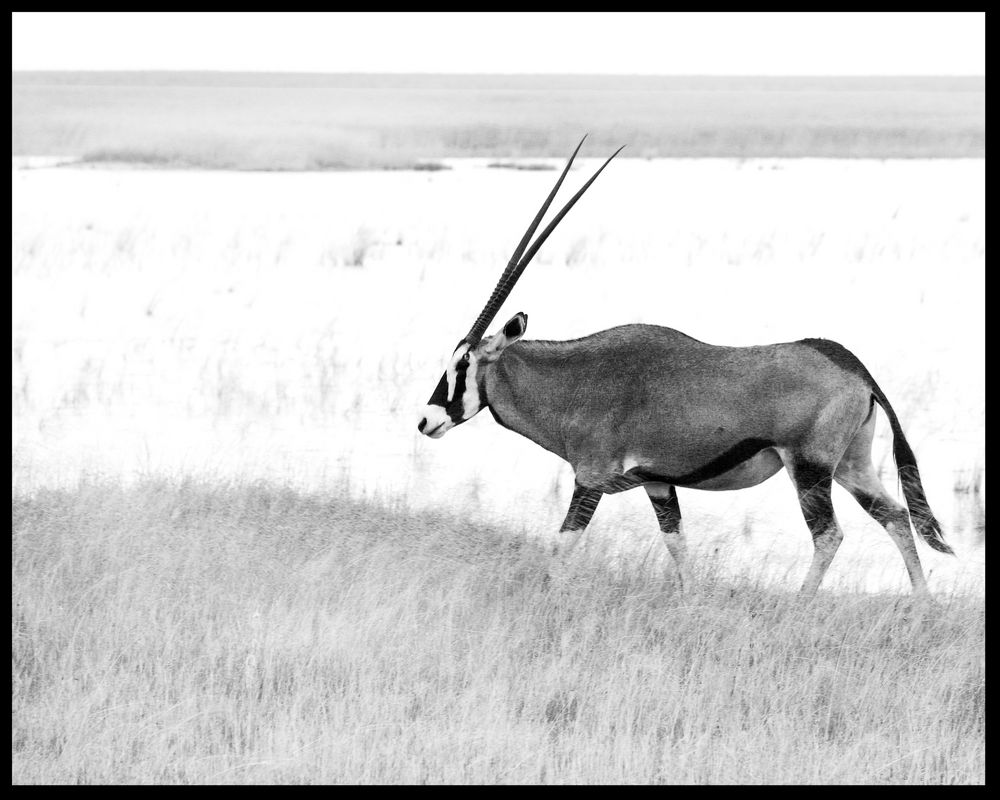 Etosha Nationalpark